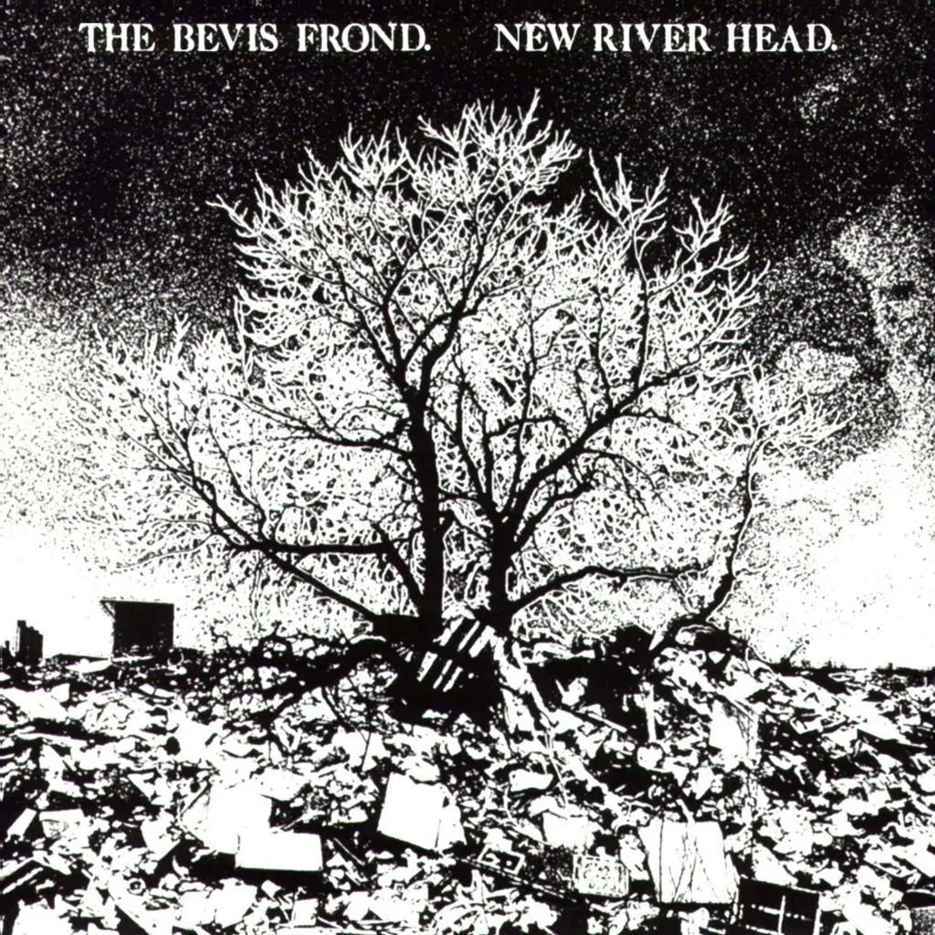 Album artwork for New River Head by The Bevis Frond