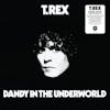 Album artwork for Dandy in the Underworld (Clear Vinyl) by T Rex