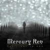 Album artwork for The Light In You by Mercury Rev