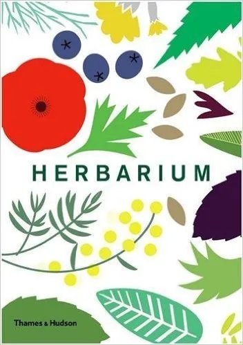 Album artwork for Herbarium by Caz Hildebrand