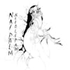 Album artwork for Needle Paw by Nai Palm