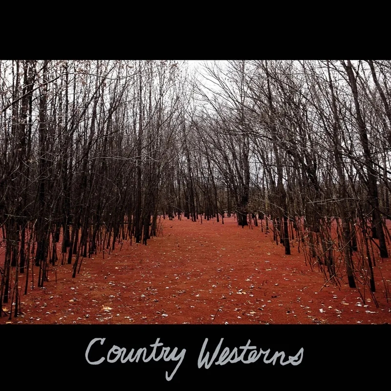 Album artwork for Country Westerns by Country Westerns