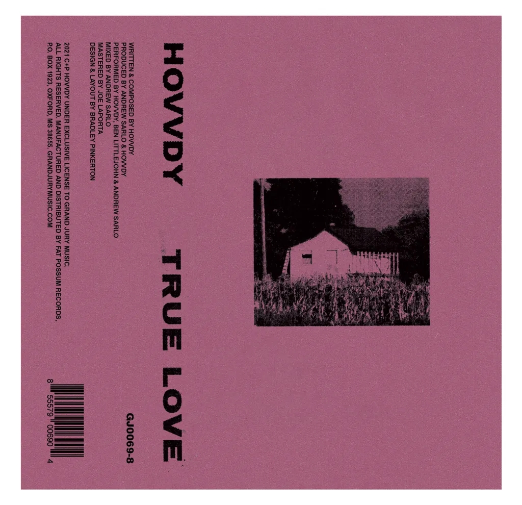 Album artwork for True Love (Single) by Hovvdy
