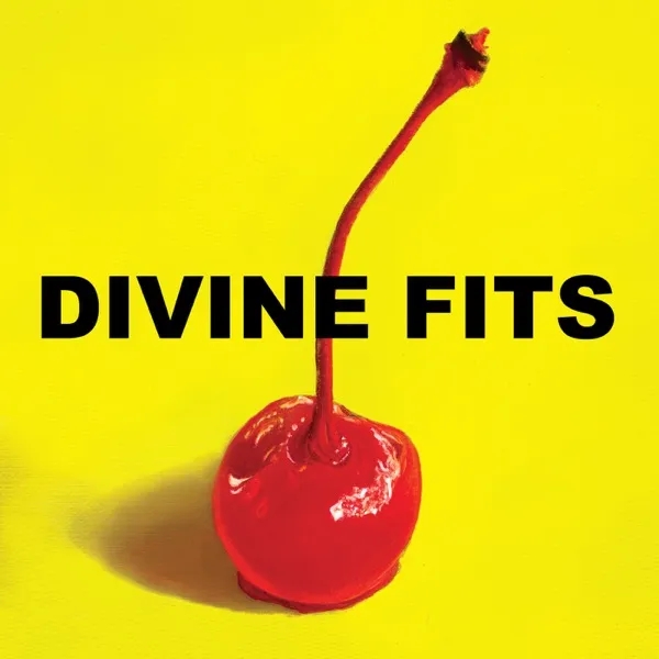 Album artwork for A Thing Called Divine Fits by Divine Fits