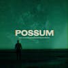 Album artwork for Possum OST by The Radiophonic Workshop