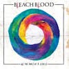 Album artwork for All the sides of a circle by bleach blood