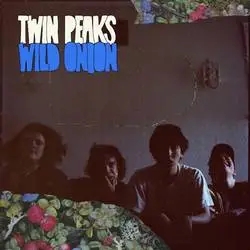 Album artwork for Wild Onion by Twin Peaks