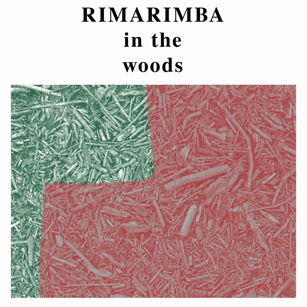 Album artwork for In the Woods by Rimarimba 