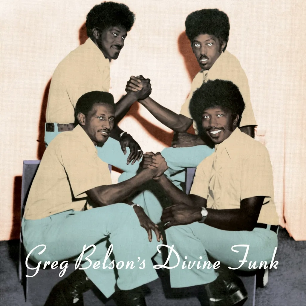 Album artwork for Greg Belson's Divine Funk by Various Artists