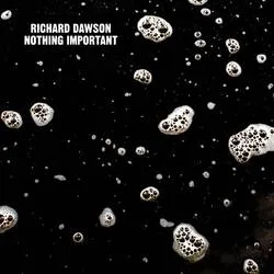 Album artwork for Nothing Important by Richard Dawson