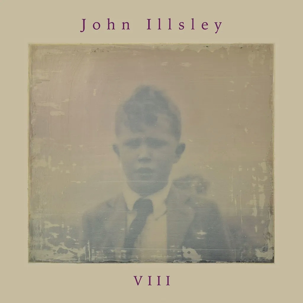 Album artwork for VIII by John Illsley