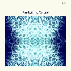 Album artwork for Pure Bathing Culture by Pure Bathing Culture