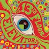 Album artwork for The Psychedelic Sounds of the 13th Floor Elevators by 13th Floor Elevators