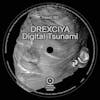 Album artwork for Digital Tsunami by Drexciya