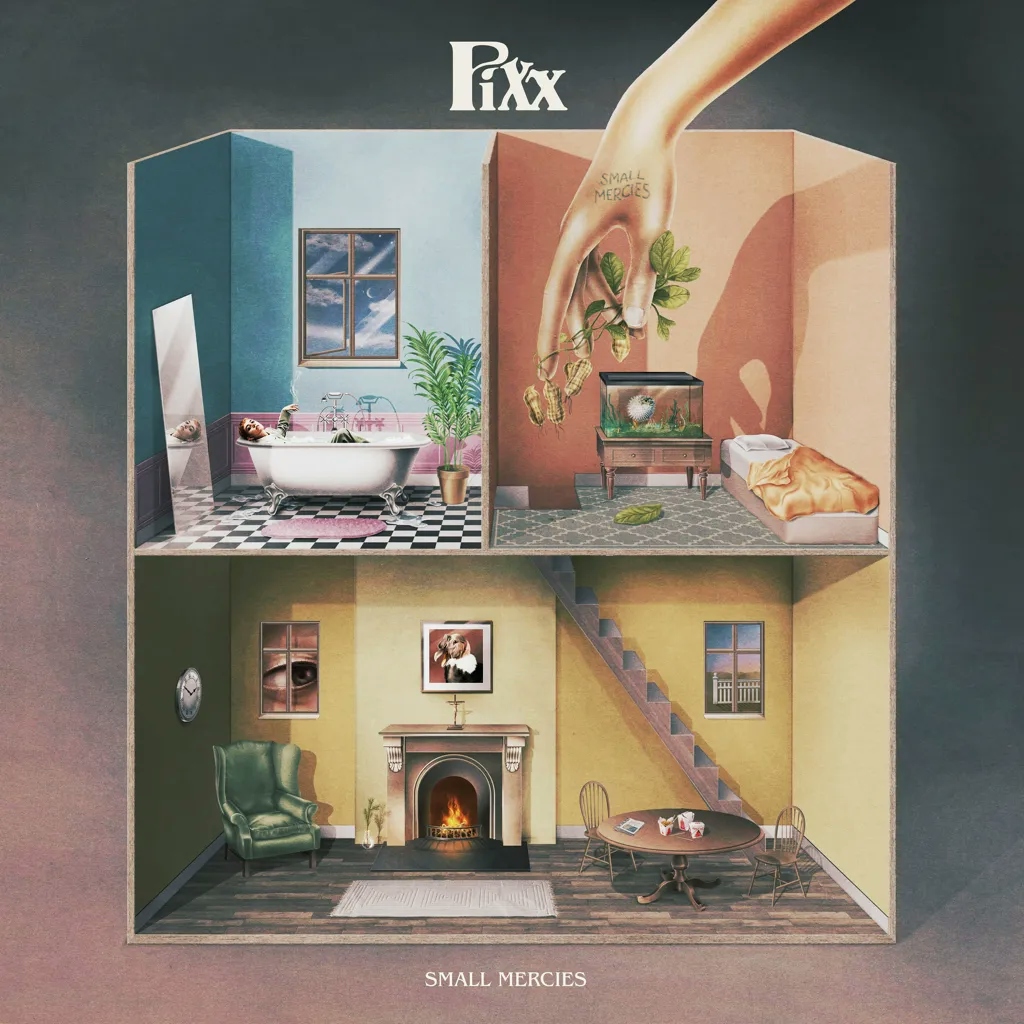 Album artwork for Small Mercies by Pixx
