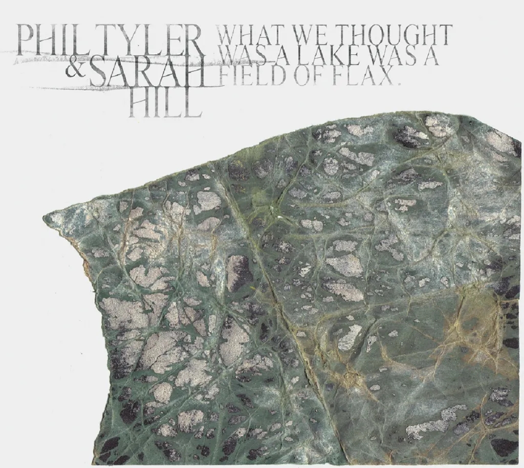 Album artwork for What We Thought Was A Lake Was A Field Of Flax by Phil Tyler and Sarah Hill