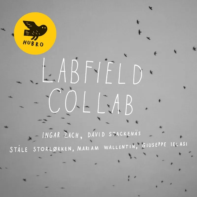 Album artwork for Collab by Labfield
