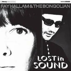 Album artwork for Lost In Sound by Fay Hallam and The Bongolian