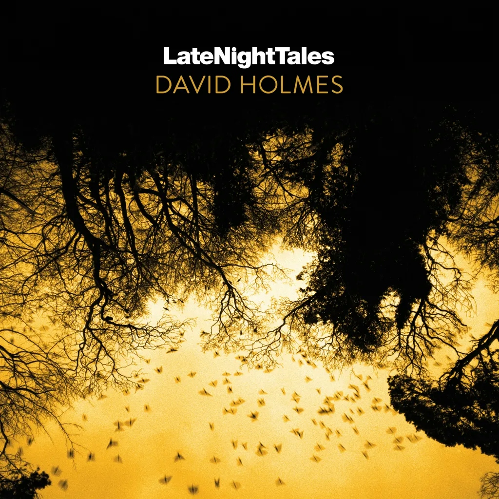 Album artwork for David Holmes - Late Night Tales by Various