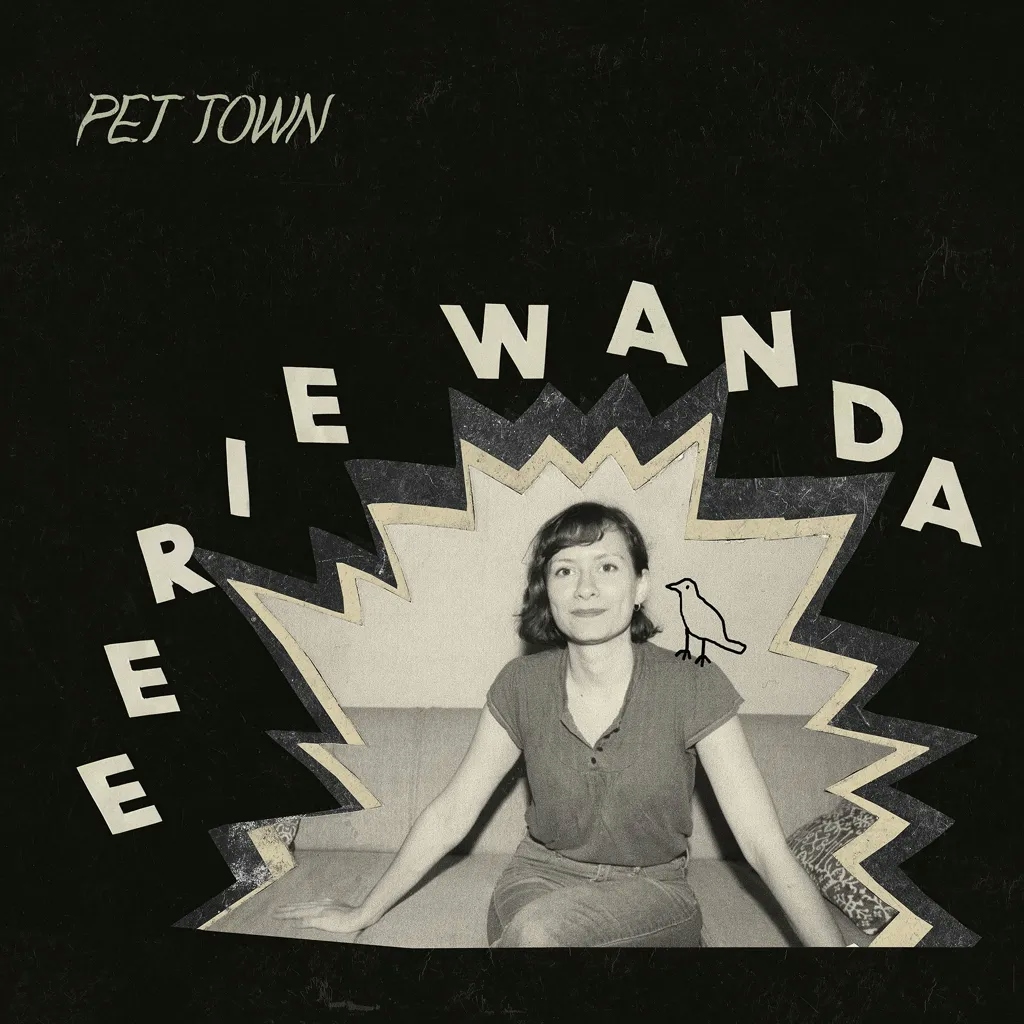 Album artwork for Pet Town by Eerie Wanda