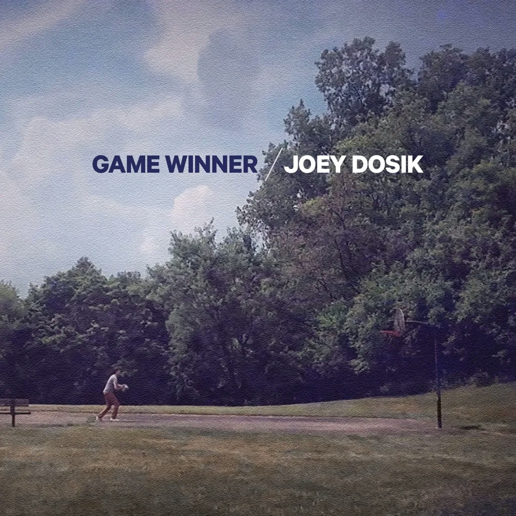 Album artwork for Game Winner by Joey Dosik