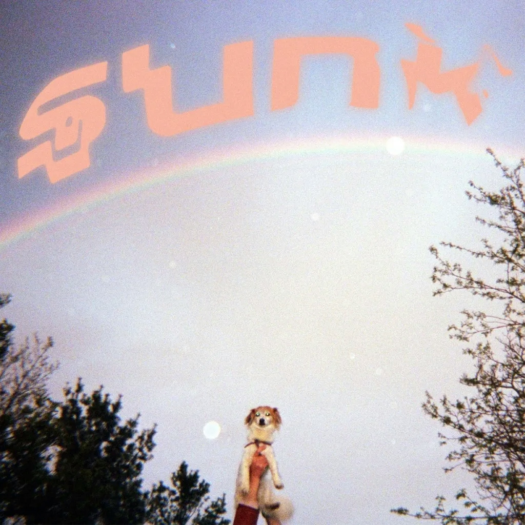 Album artwork for Sunk by Babehoven
