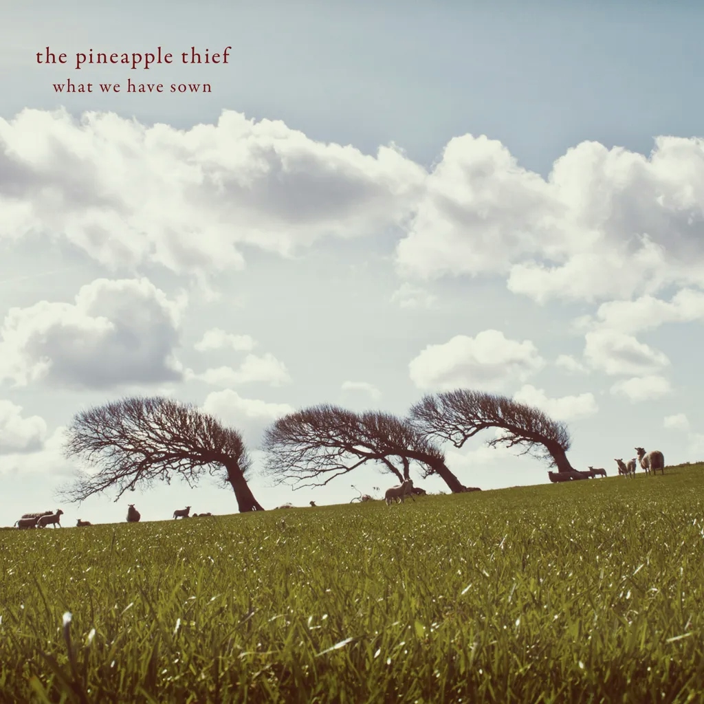 Album artwork for What We Have Sown by The Pineapple Thief