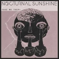 Album artwork for Take Me There by Nocturnal Sunshine