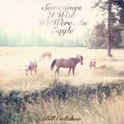 Album artwork for Sometimes I Wish We Were An Eagle by Bill Callahan