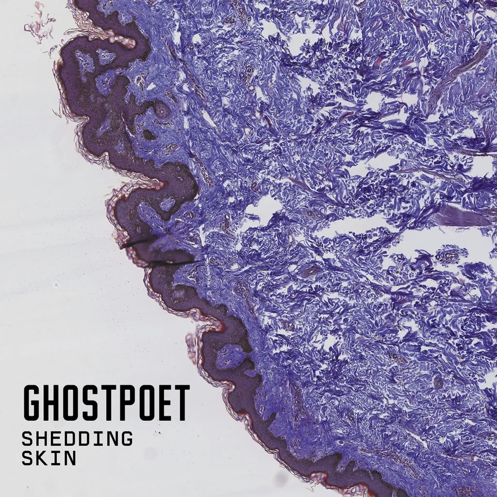Album artwork for Shedding Skin (LRS 2021) by Ghostpoet