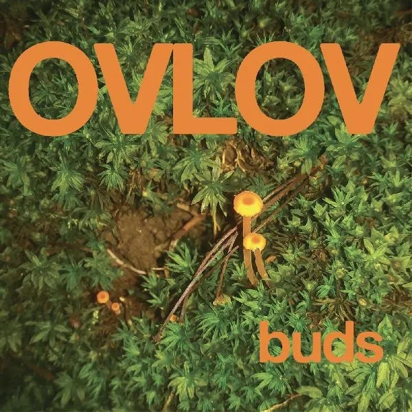 Album artwork for Buds by Ovlov