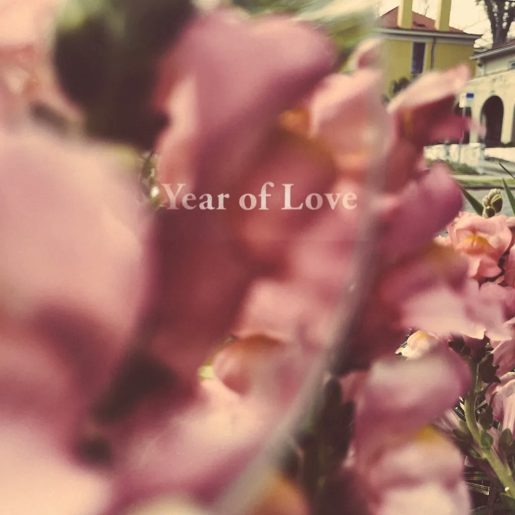 Album artwork for Year Of Love by Beta Radio