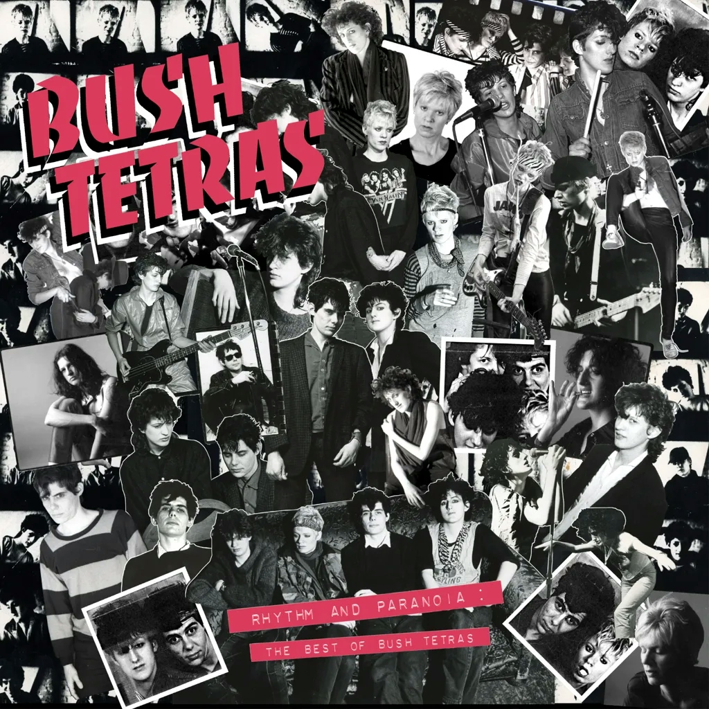 Album artwork for Album artwork for Rhythm and Paranoia: The Best of Bush Tetras by Bush Tetras by Rhythm and Paranoia: The Best of Bush Tetras - Bush Tetras