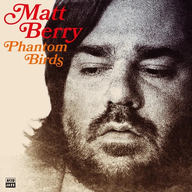 Album artwork for Phantom Birds by Matt Berry