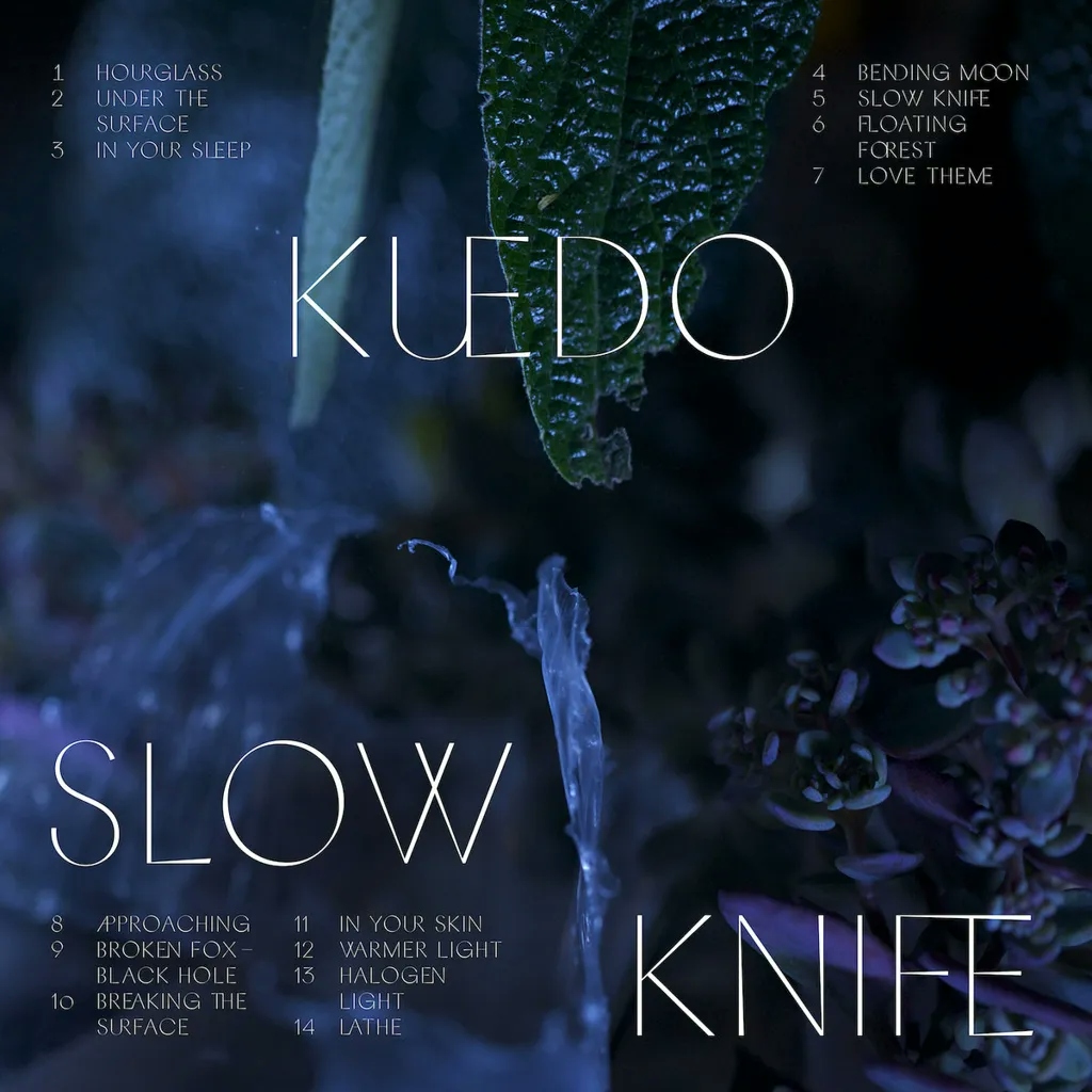 Album artwork for Slow Knife by Kuedo