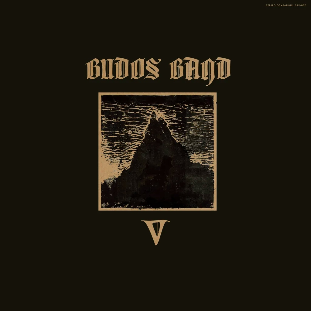 Album artwork for V by The Budos Band
