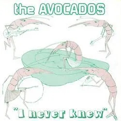 Album artwork for I Never Knew by The Avocados