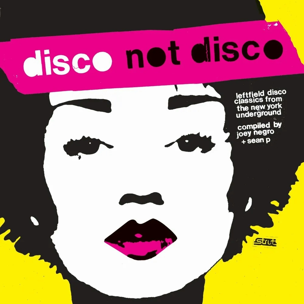 Album artwork for Disco Not Disco by Various