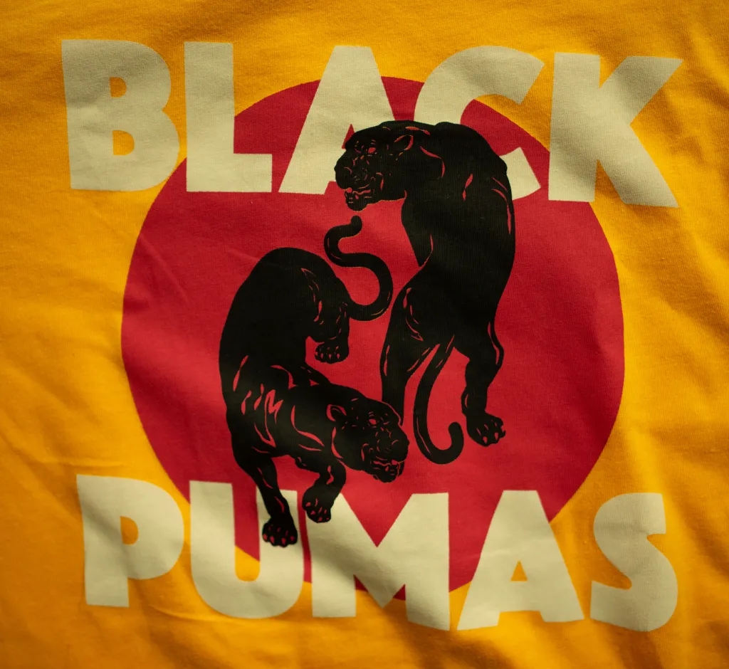 Album artwork for Album artwork for Double Pumas T-Shirt by Black Pumas by Double Pumas T-Shirt - Black Pumas