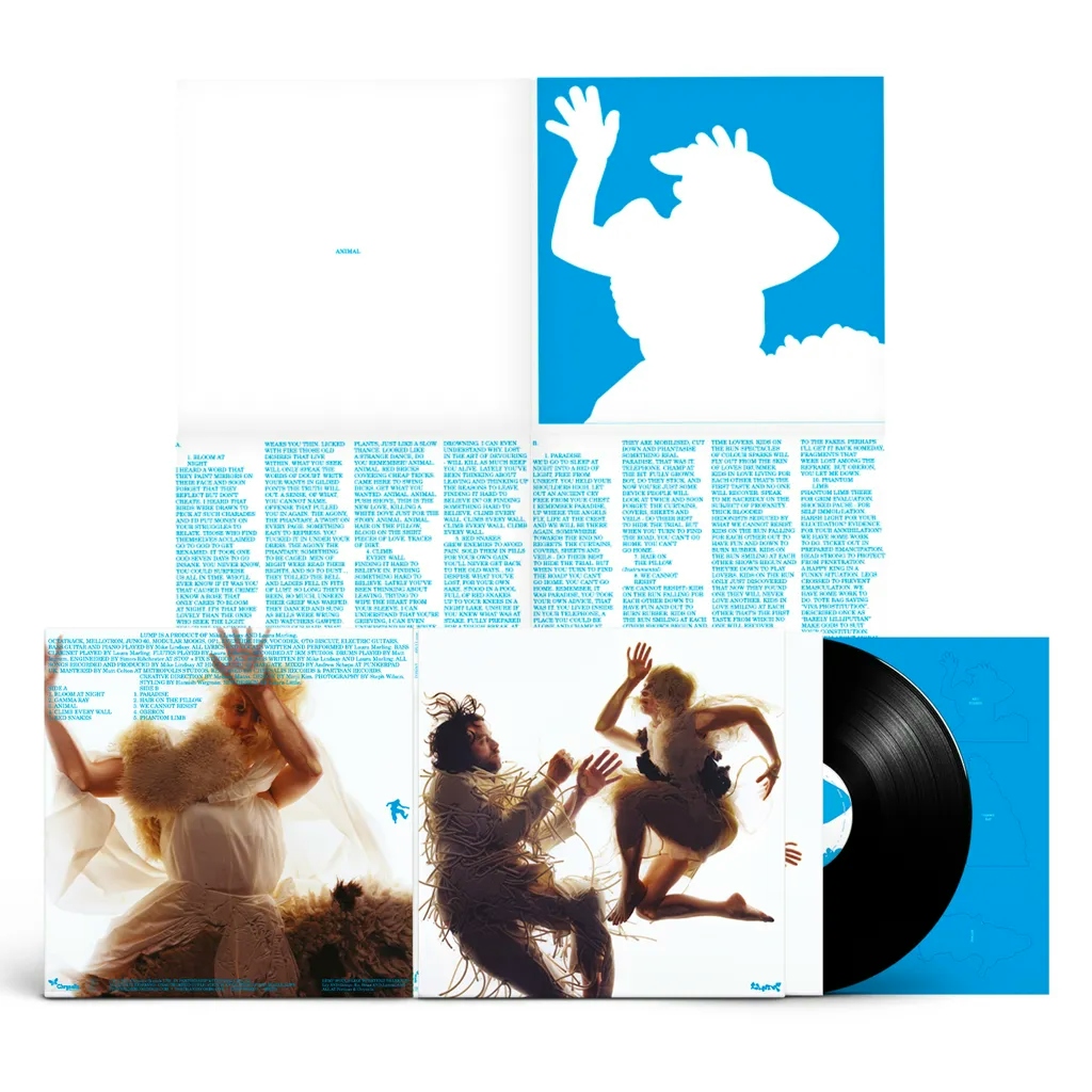 Album artwork for Album artwork for Animal by LUMP by Animal - LUMP