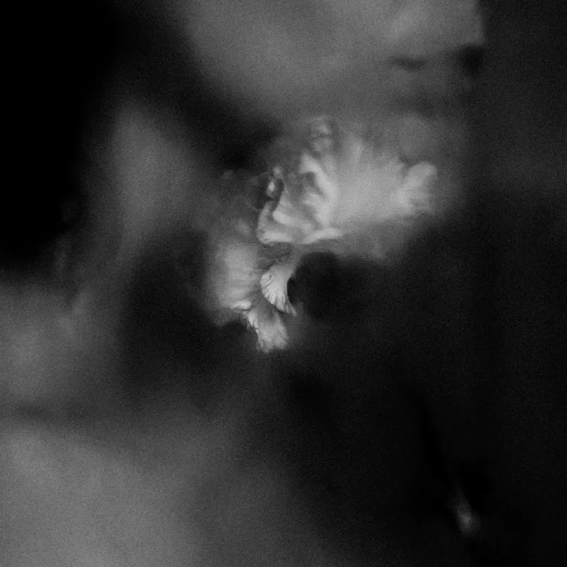 Album artwork for Holding Absence by Holding Absence