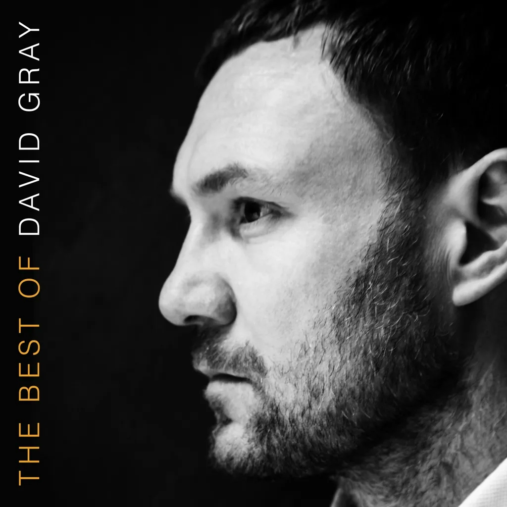 Album artwork for The Best of David Gray by David Gray