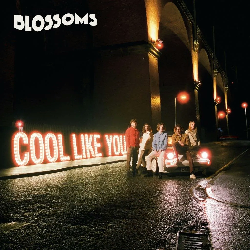 Album artwork for Cool Like You by Blossoms