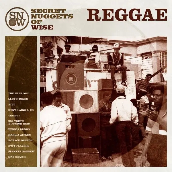 Album artwork for Secret Nuggets of Wise Reggae by Various