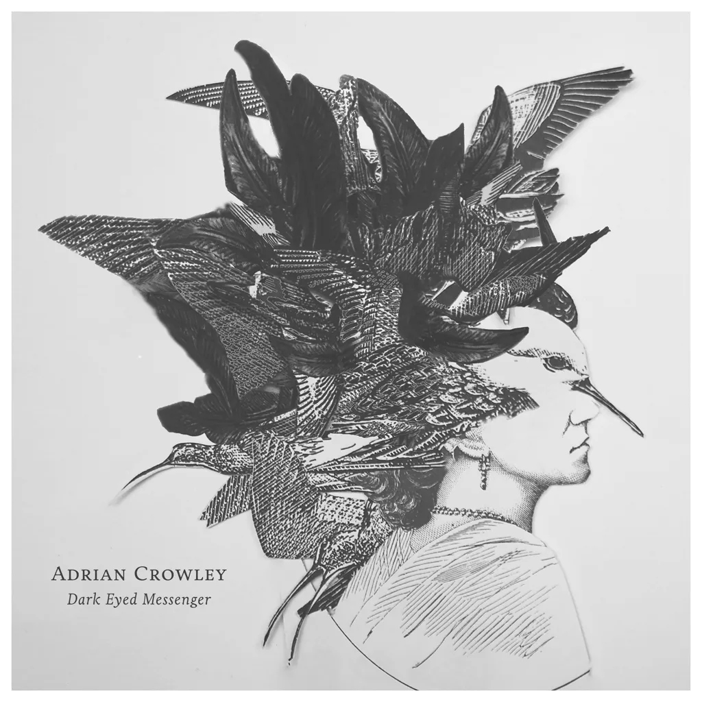 Album artwork for Dark Eyed Messenger by Adrian Crowley