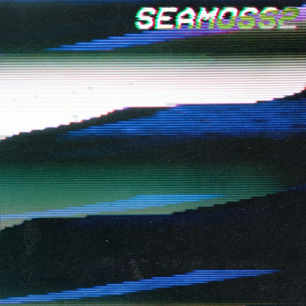Album artwork for SEAMOSS2 by Sea Moss