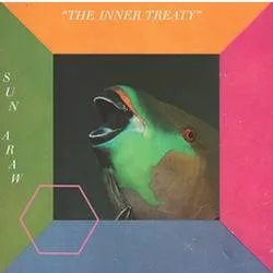 Album artwork for The Inner Treaty by Sun Araw