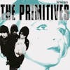 Album artwork for The Lazy Years by The Primitives