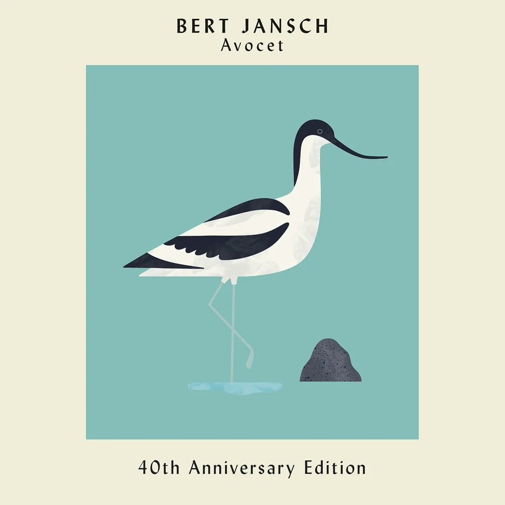 Album artwork for Avocet by Bert Jansch