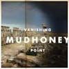 Album artwork for Vanishing Point by Mudhoney